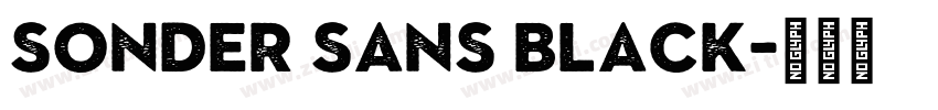 Sonder Sans Black字体转换